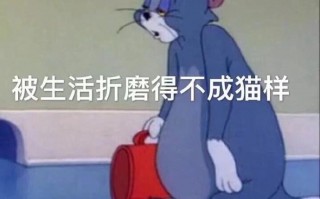 代体检文案沙雕，做体检的文案