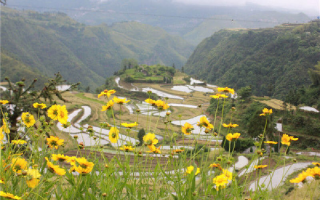 永嘉青田游玩攻略，永嘉青田游玩攻略一日游