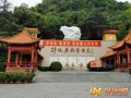 如何找到爆款短剧剧本视频，如何找到爆款短剧剧本视频素材